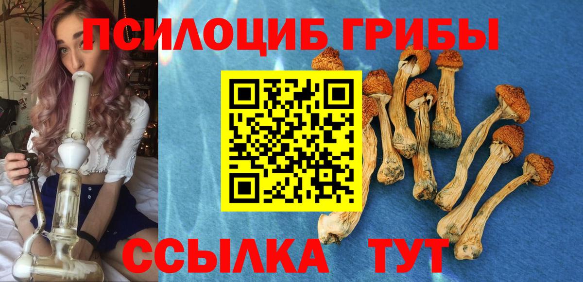 где купить наркоту  Псилоцибиновые грибы Psilocybe  Вход с VPN  Галлюциногенные грибы ЛСД  Тверь 