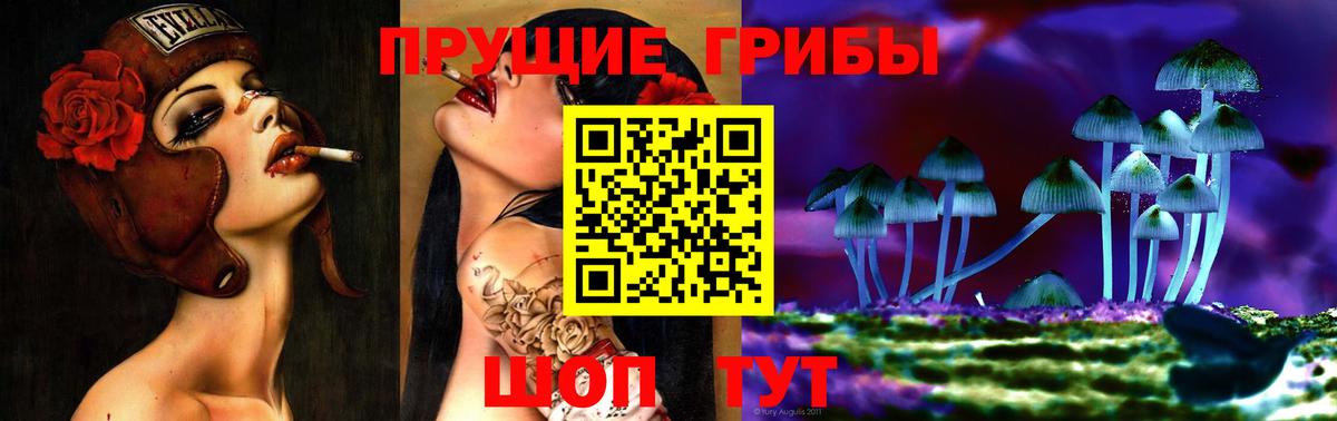 Галлюциногенные грибы Magic Shrooms Тверь